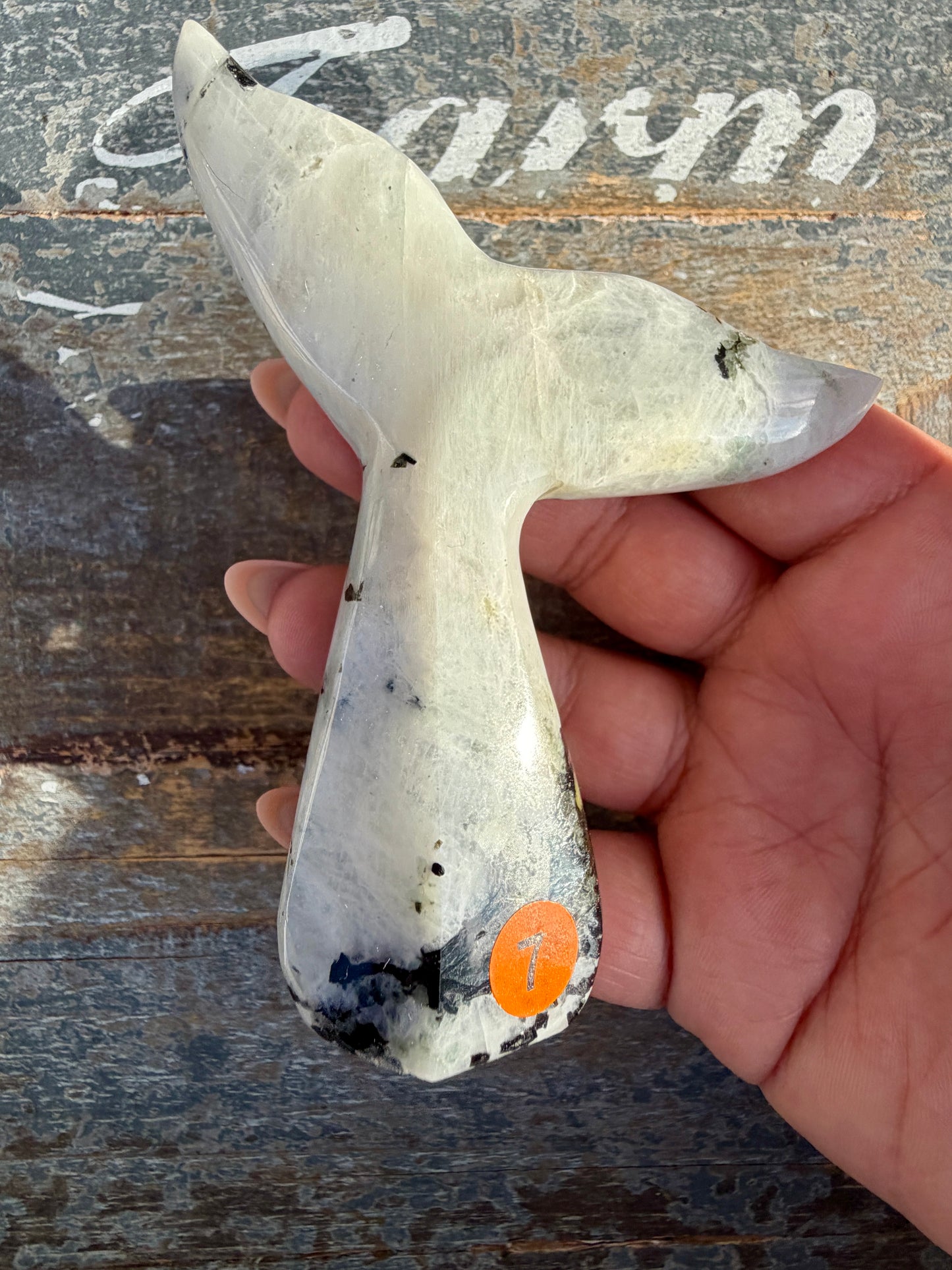Gorgeous Rainbow Moonstone Whale Tail | India | Opt 7
