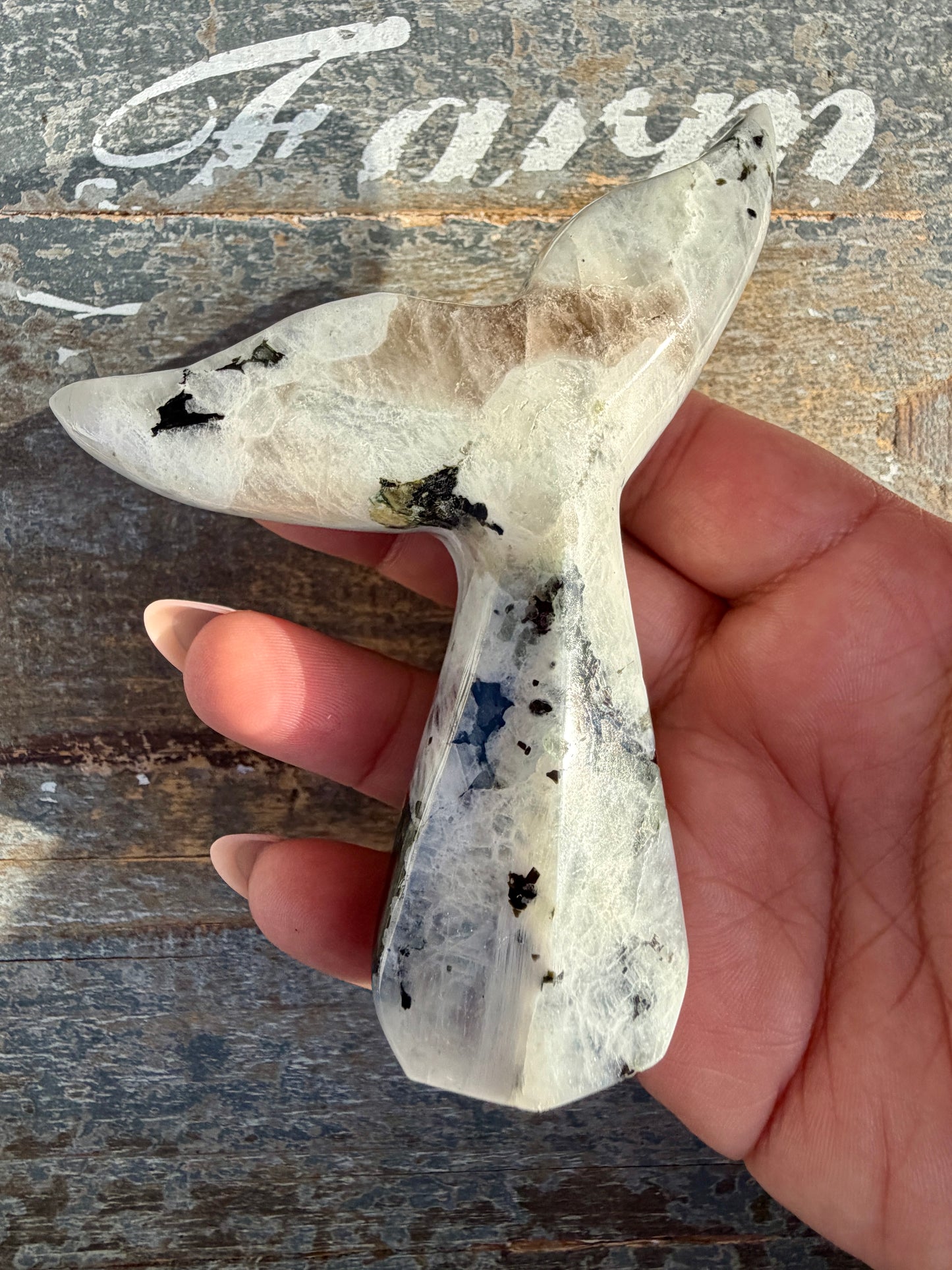 Gorgeous Rainbow Moonstone Whale Tail | India | Opt 7