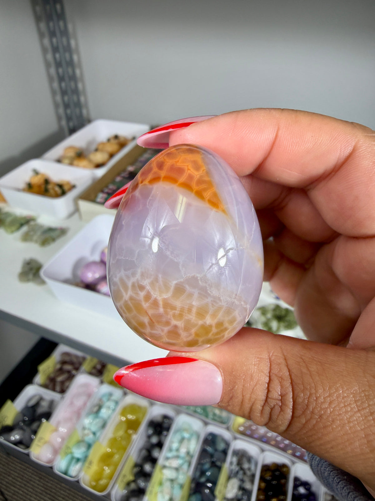 Gorgeous Snake Skin Agate Egg | Opt 18