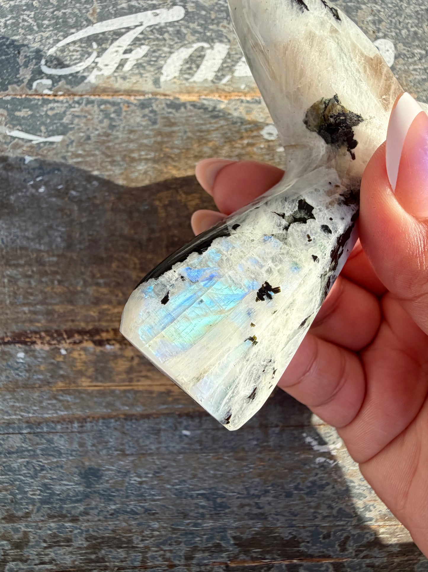 Gorgeous Rainbow Moonstone Whale Tail | India | Opt 7