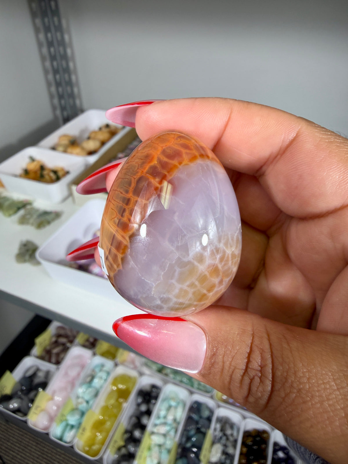 Gorgeous Snake Skin Agate Egg | Opt 18