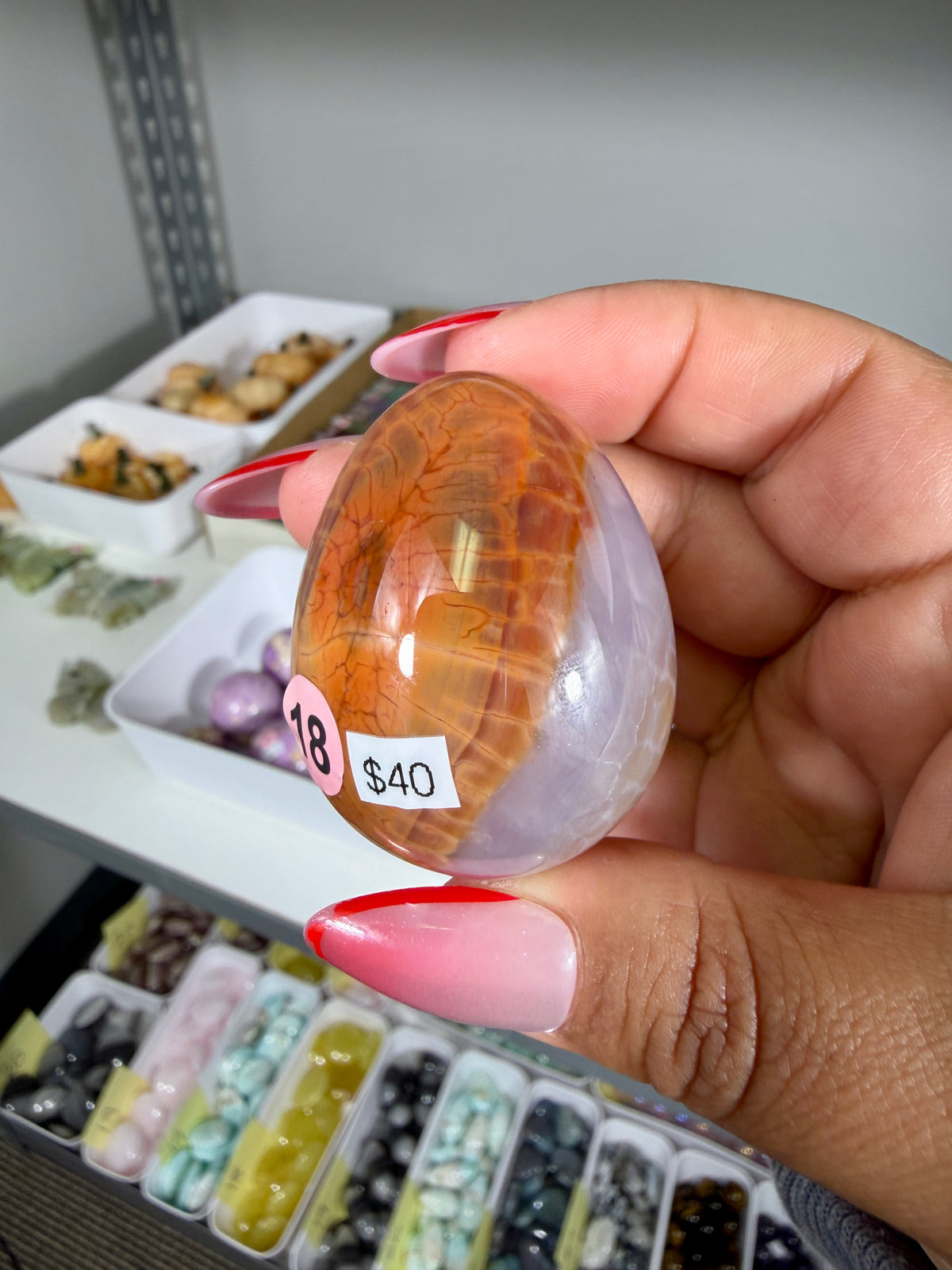 Gorgeous Snake Skin Agate Egg | Opt 18