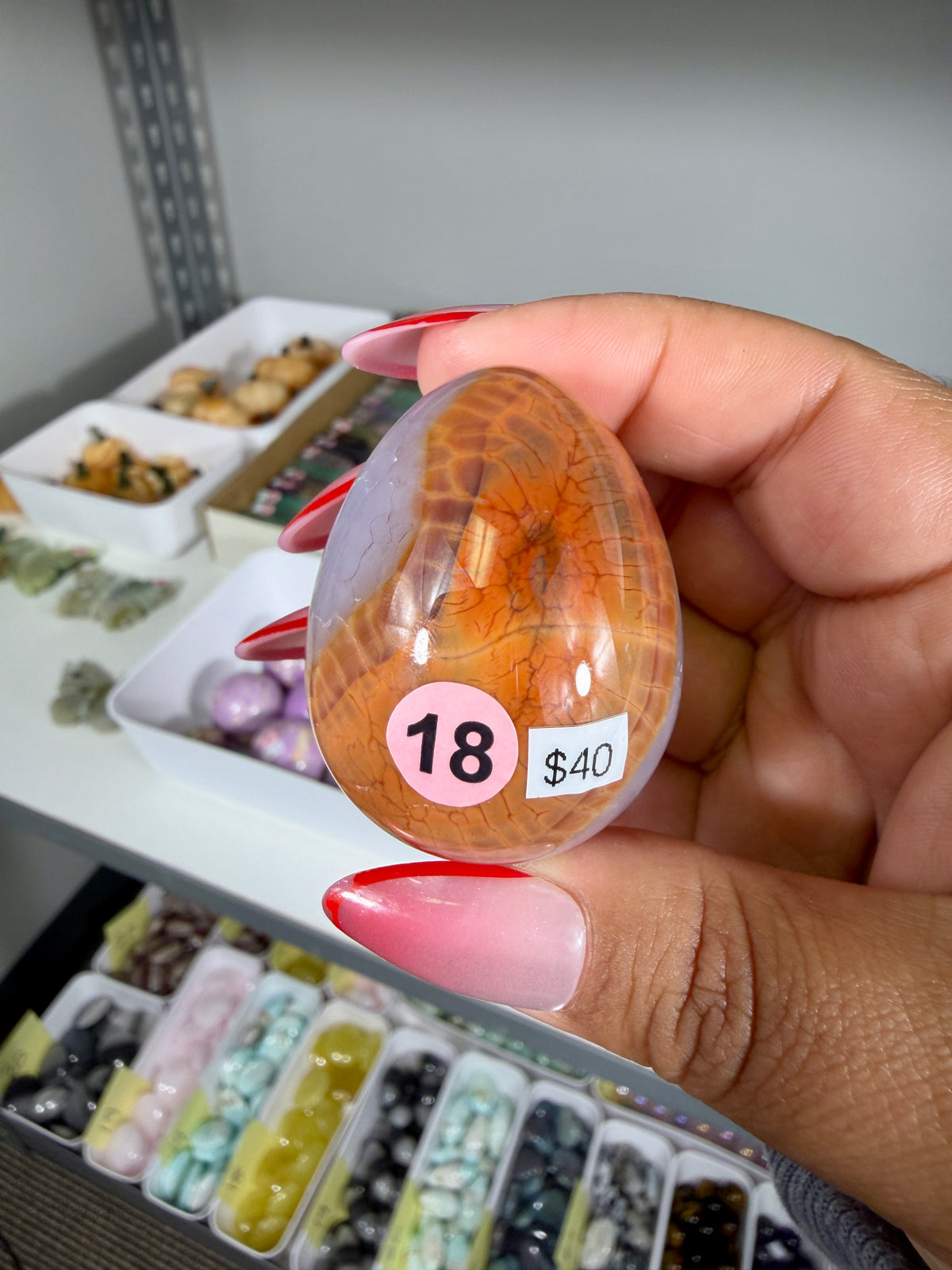 Gorgeous Snake Skin Agate Egg | Opt 18