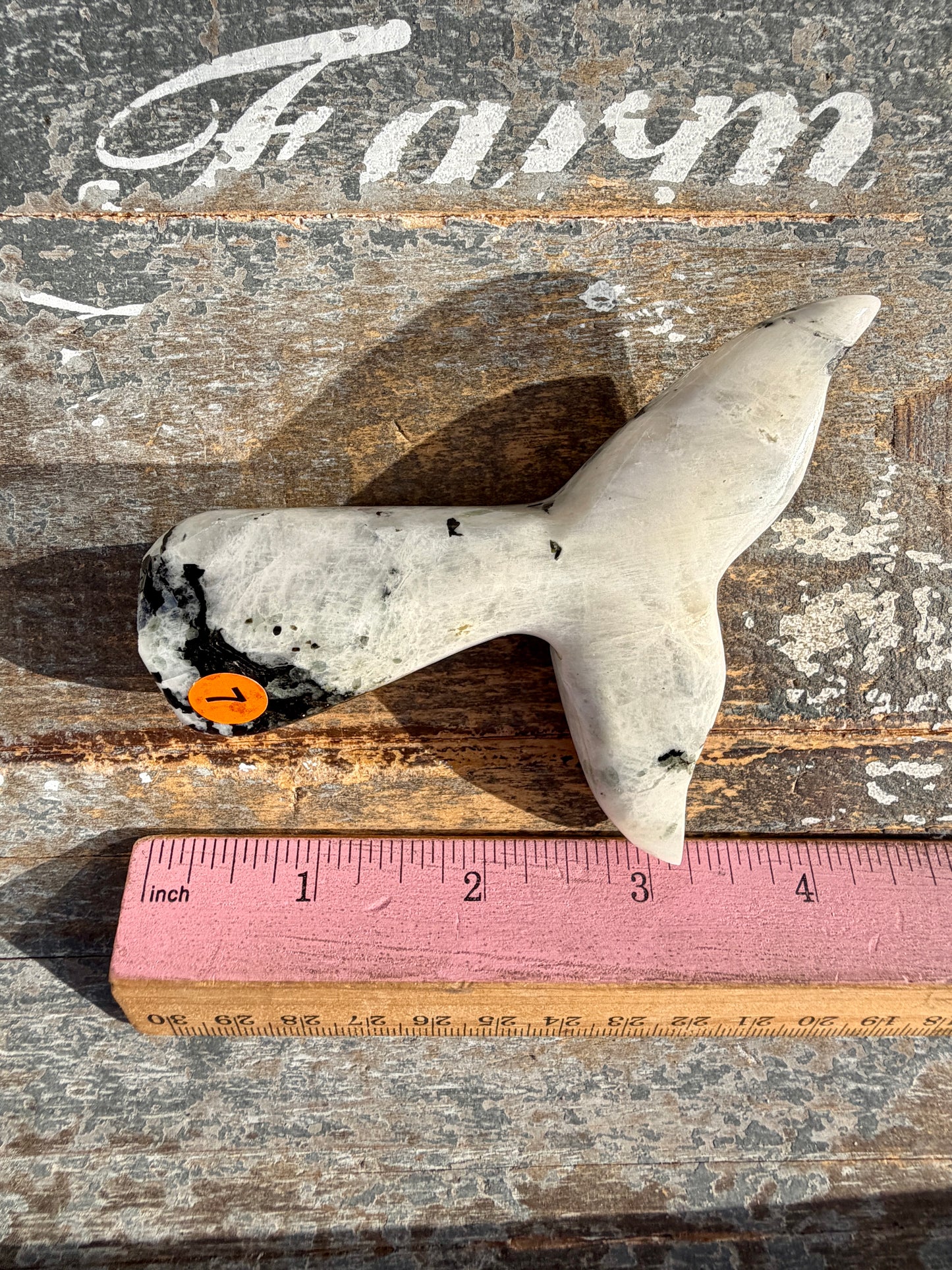 Gorgeous Rainbow Moonstone Whale Tail | India | Opt 7