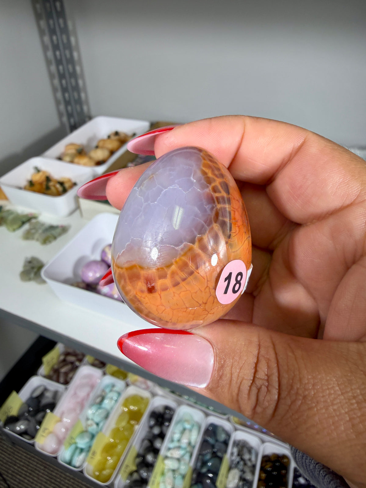 Gorgeous Snake Skin Agate Egg | Opt 18