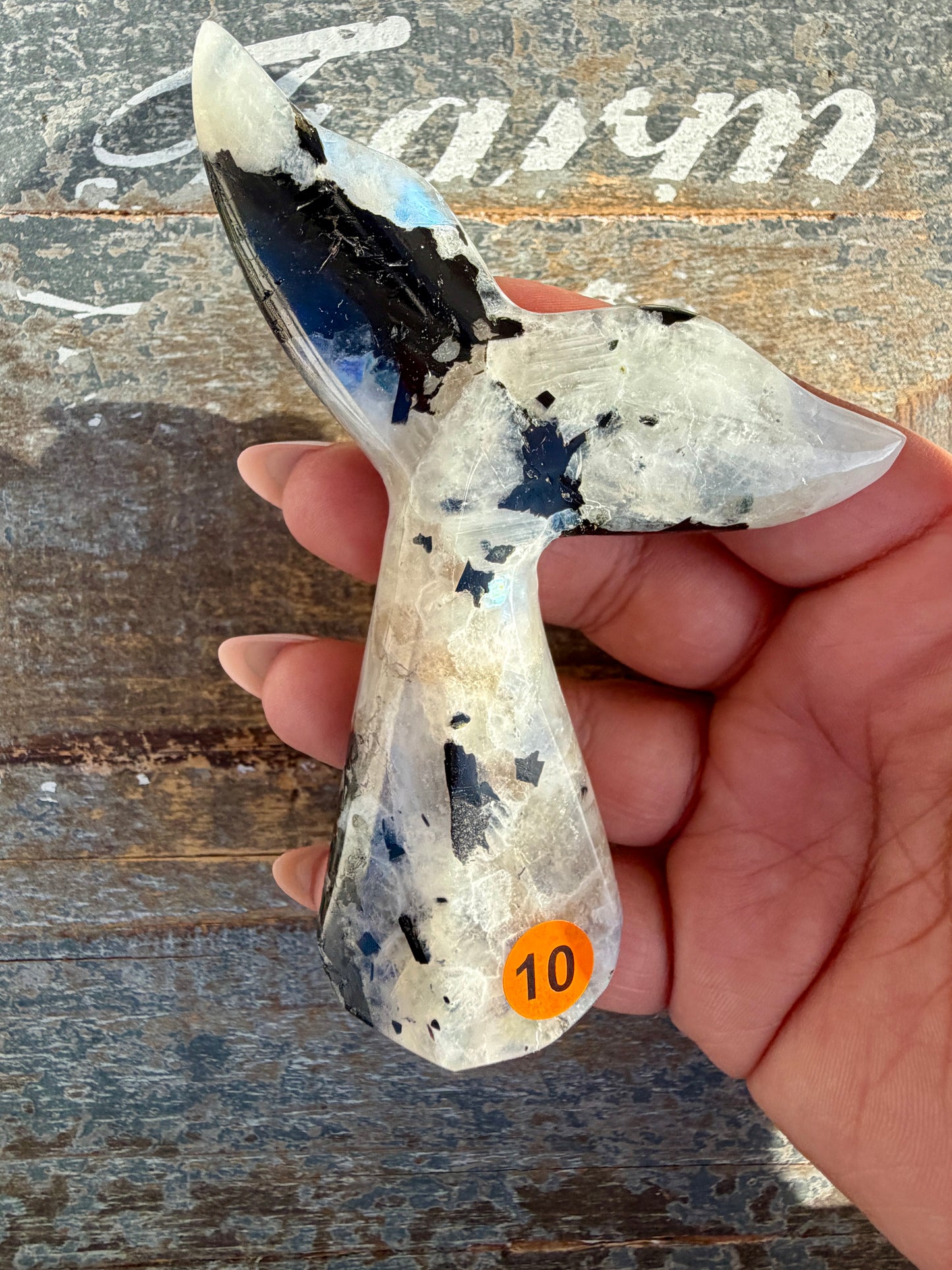 Gorgeous Rainbow Moonstone Whale Tail | India | Opt 10