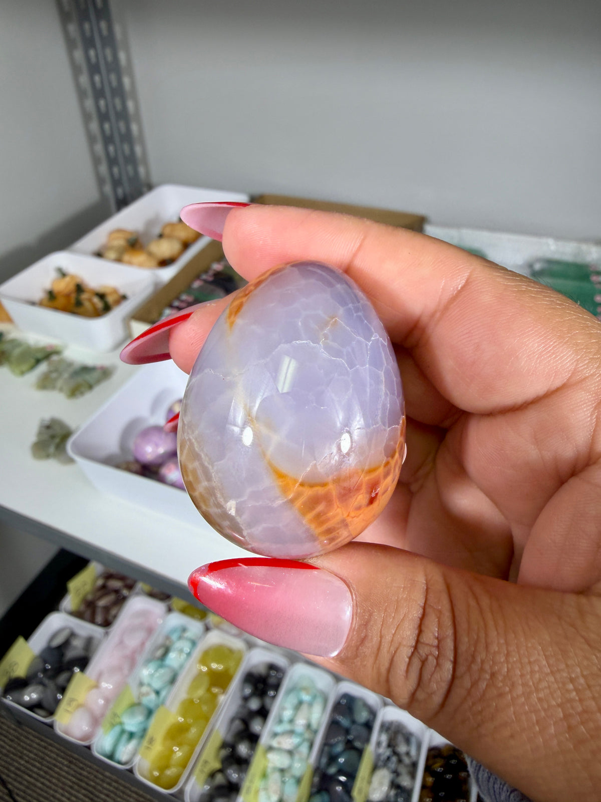 Gorgeous Snake Skin Agate Egg | Opt 18