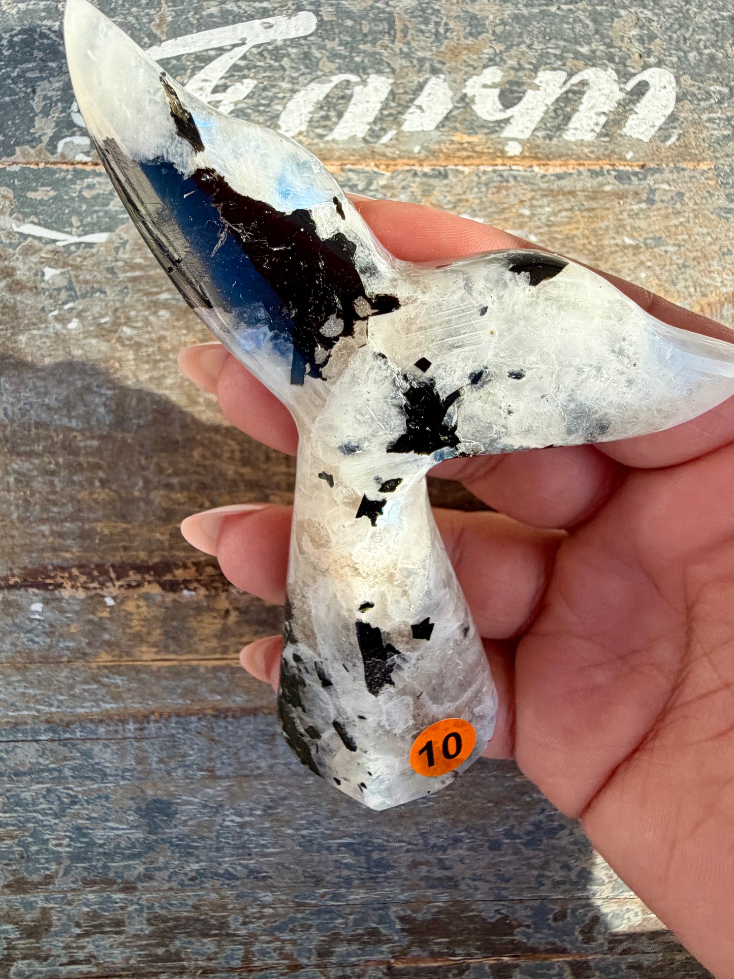 Gorgeous Rainbow Moonstone Whale Tail | India | Opt 10