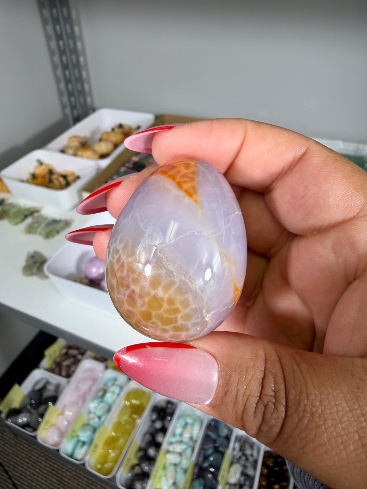 Gorgeous Snake Skin Agate Egg | Opt 18