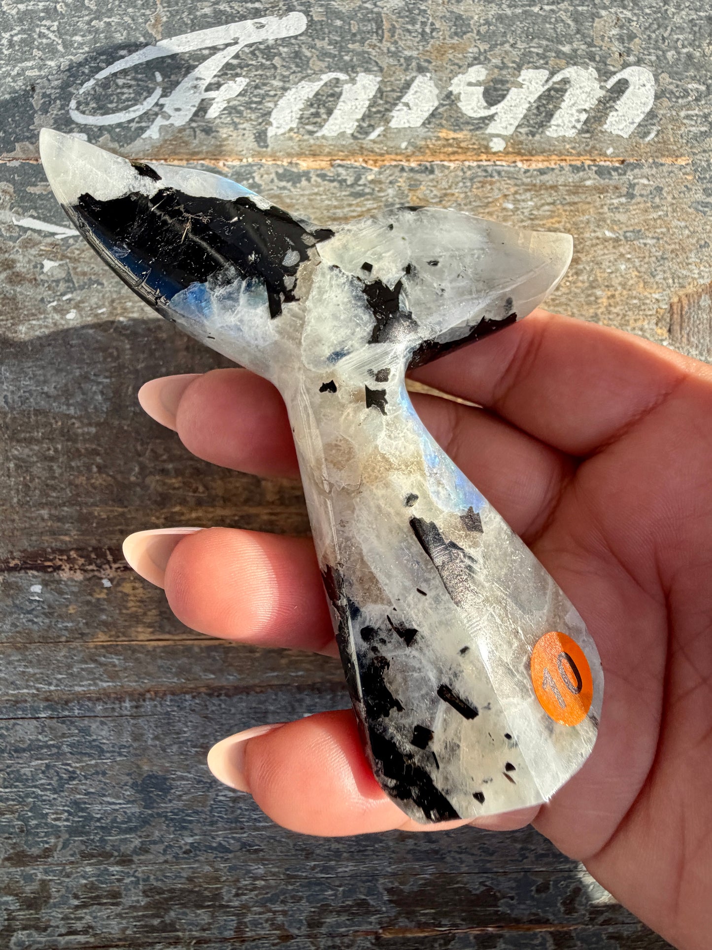 Gorgeous Rainbow Moonstone Whale Tail | India | Opt 10