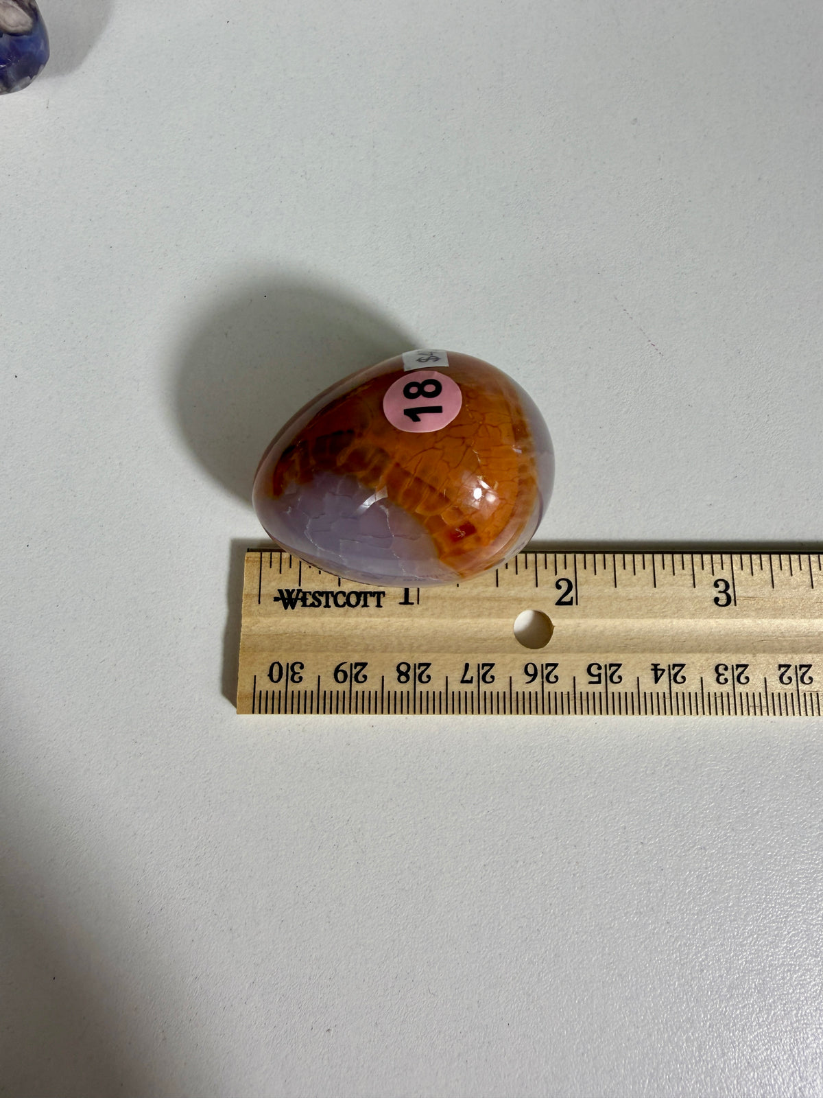 Gorgeous Snake Skin Agate Egg | Opt 18