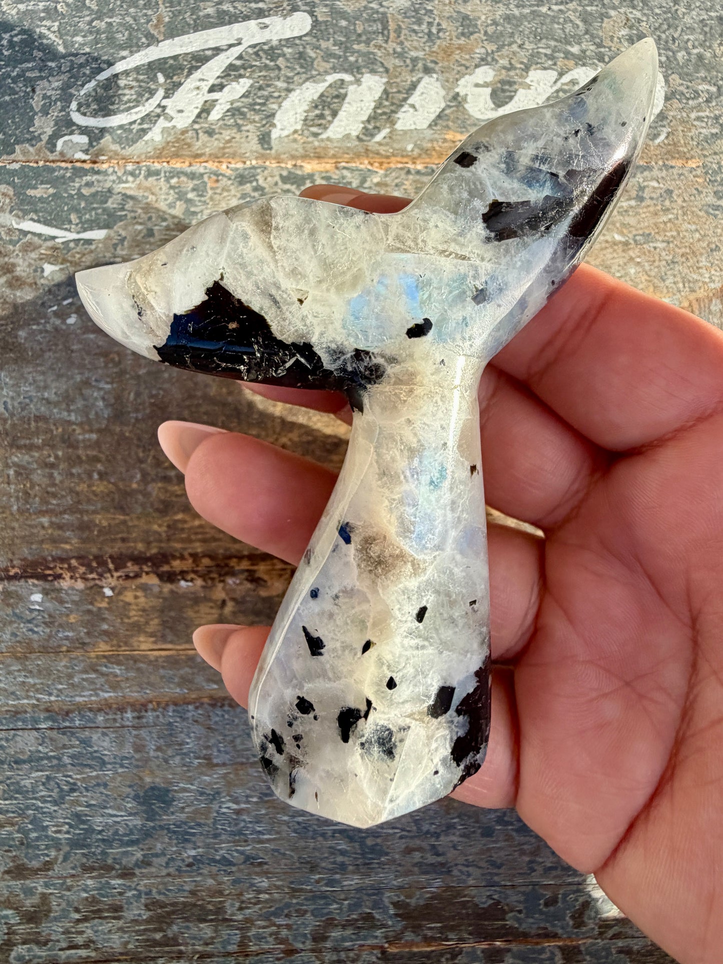 Gorgeous Rainbow Moonstone Whale Tail | India | Opt 10
