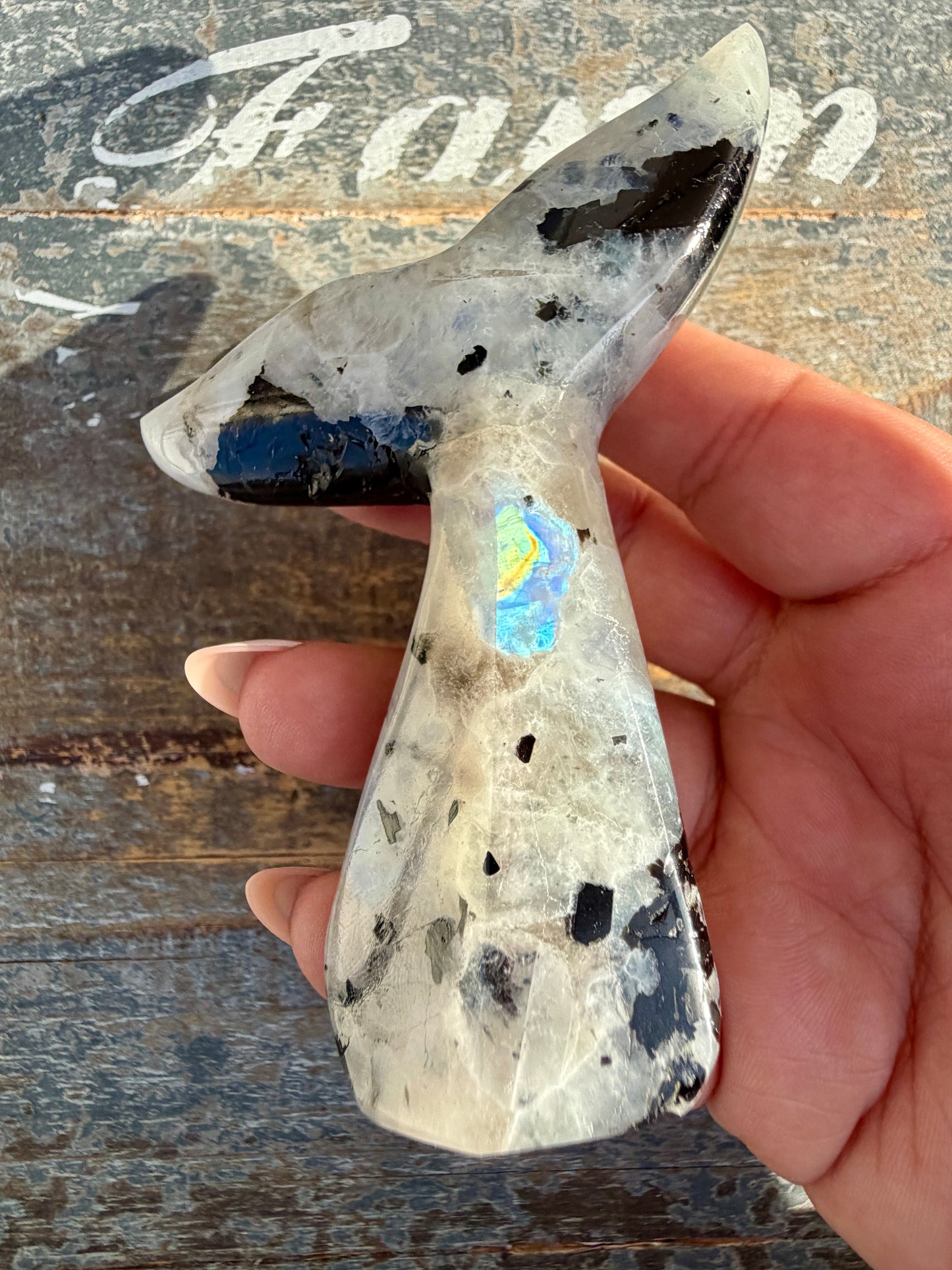 Gorgeous Rainbow Moonstone Whale Tail | India | Opt 10