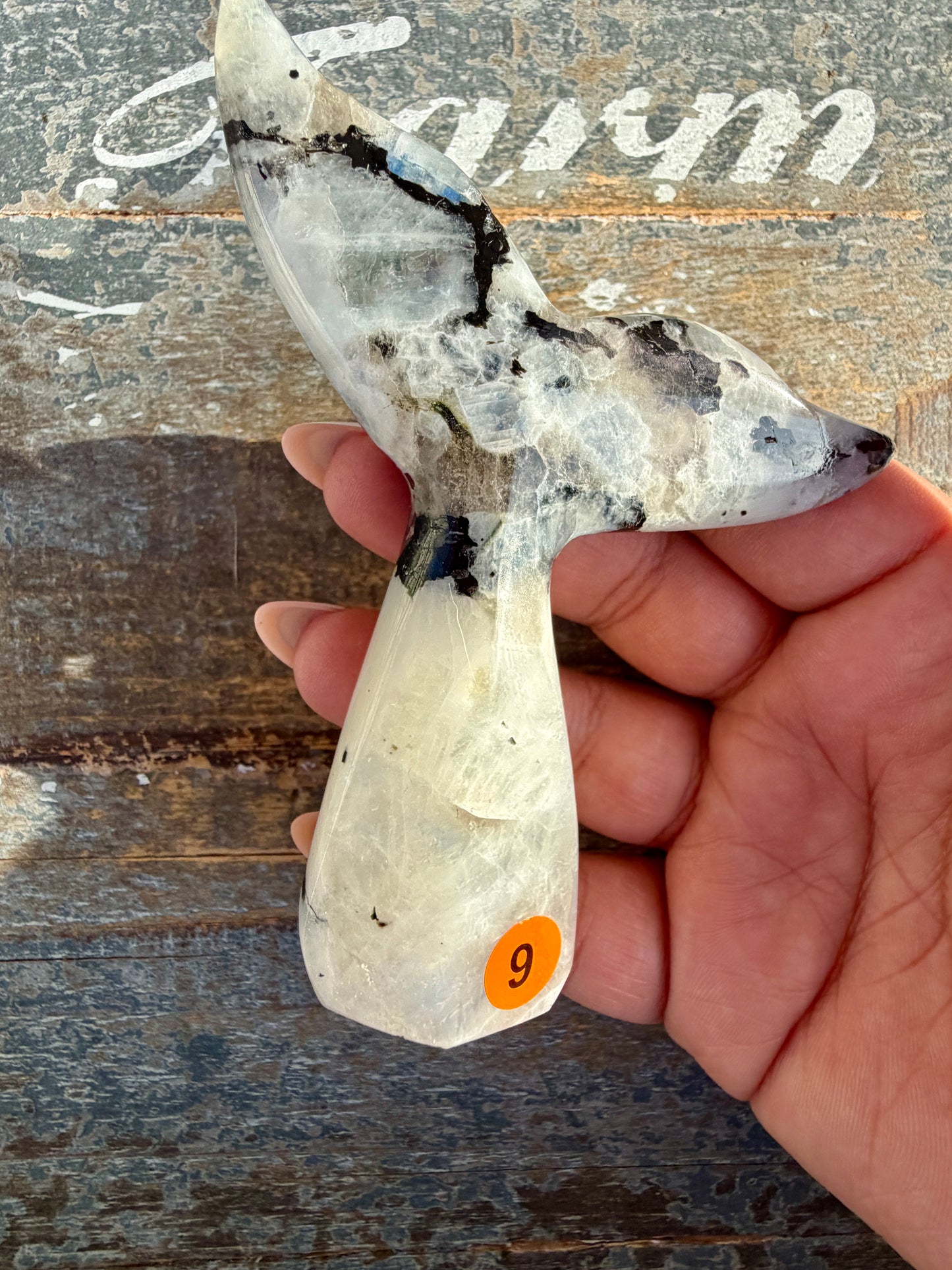 Gorgeous Rainbow Moonstone Whale Tail | India | Opt 9