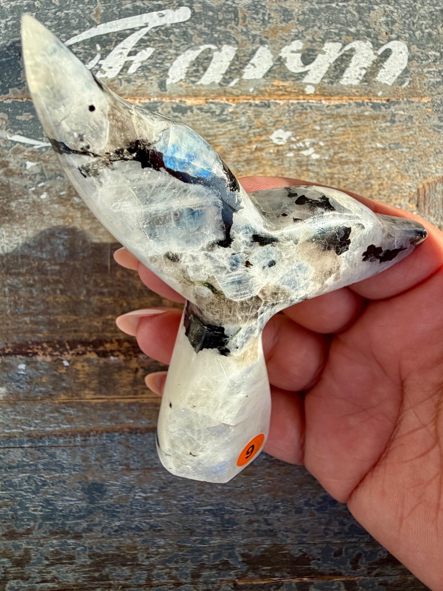 Gorgeous Rainbow Moonstone Whale Tail | India | Opt 9