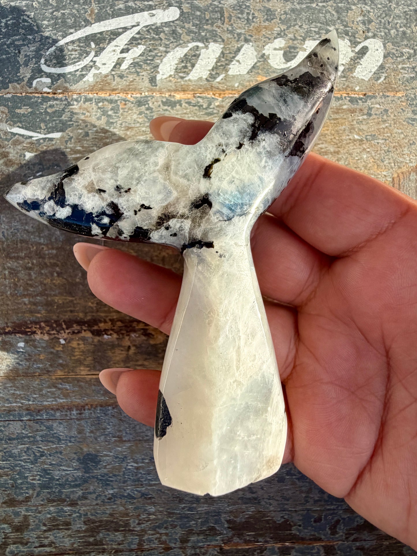 Gorgeous Rainbow Moonstone Whale Tail | India | Opt 9