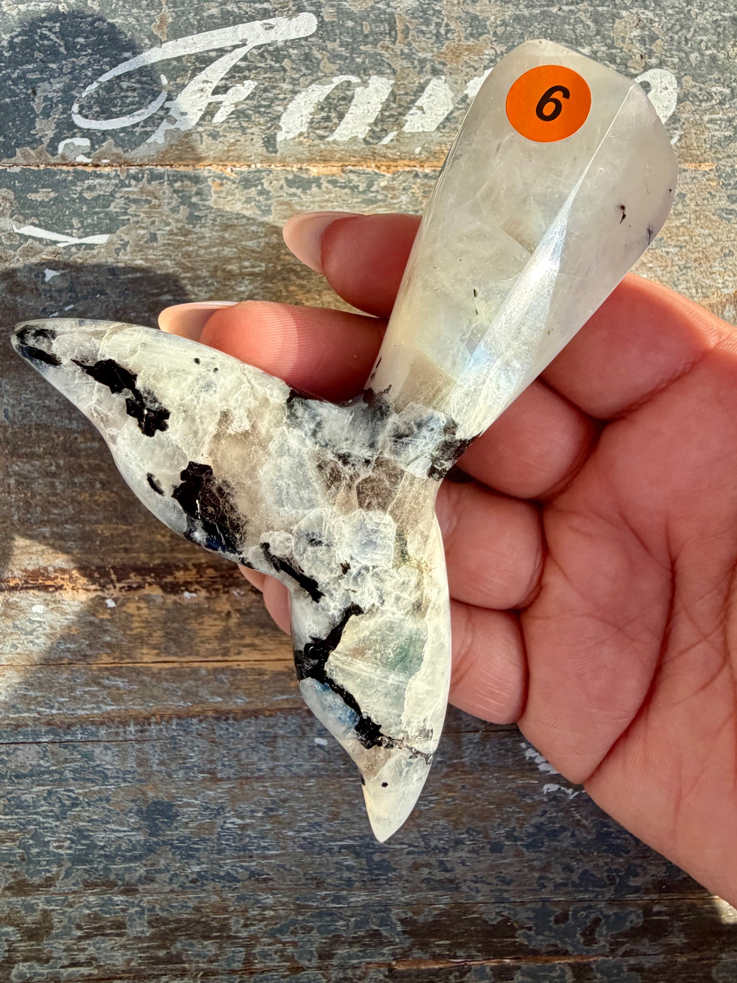 Gorgeous Rainbow Moonstone Whale Tail | India | Opt 9