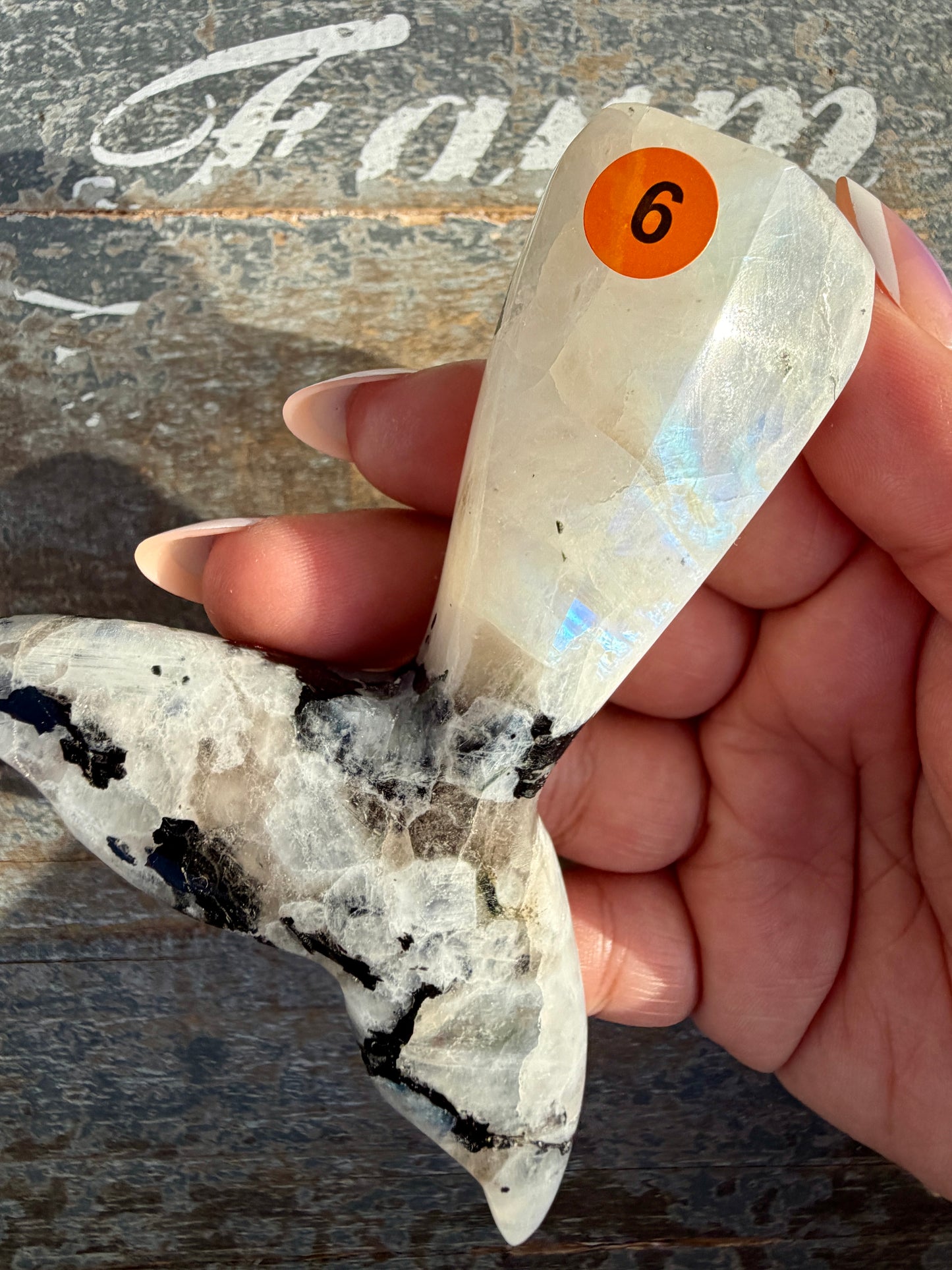 Gorgeous Rainbow Moonstone Whale Tail | India | Opt 9