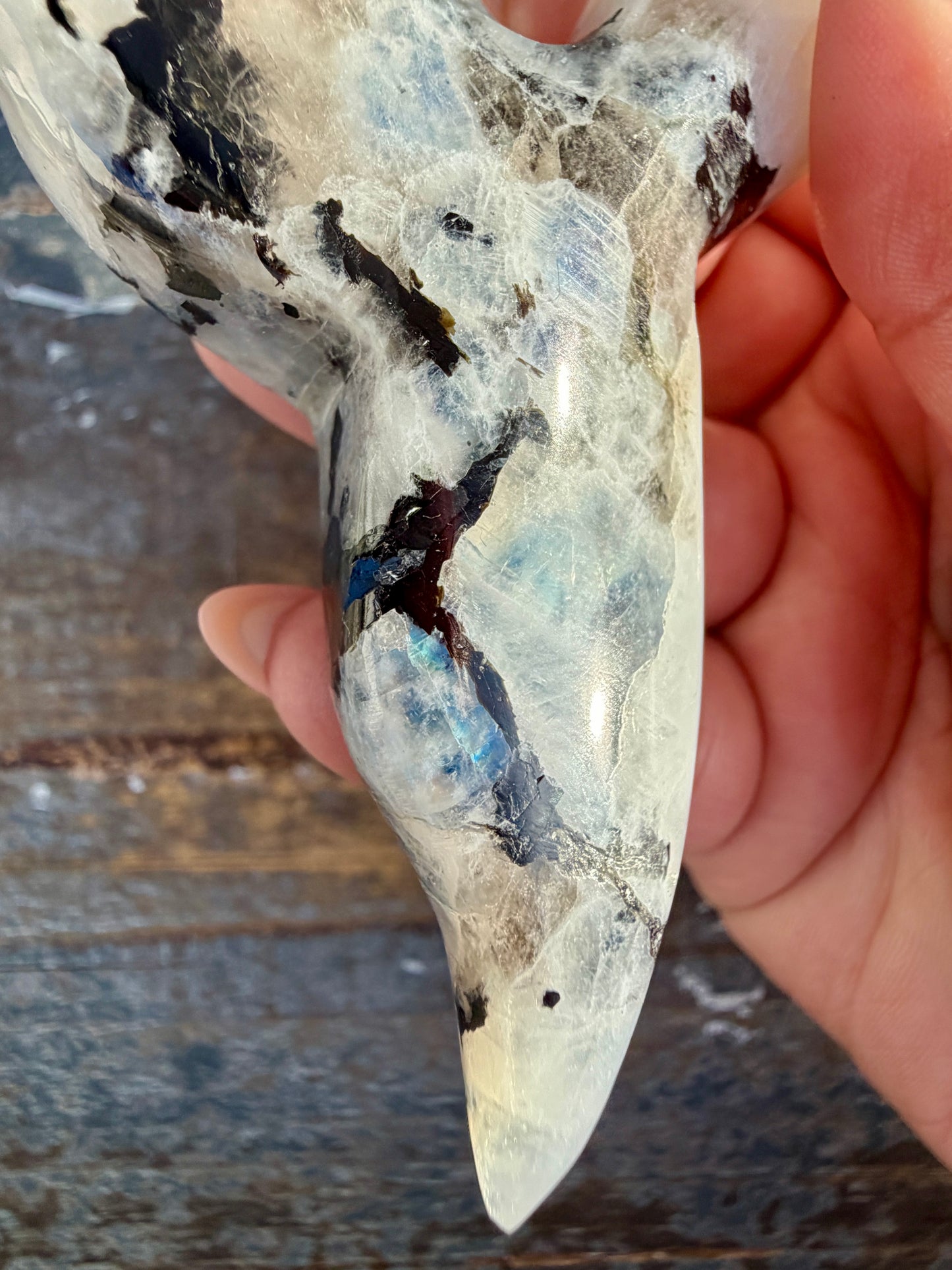 Gorgeous Rainbow Moonstone Whale Tail | India | Opt 9