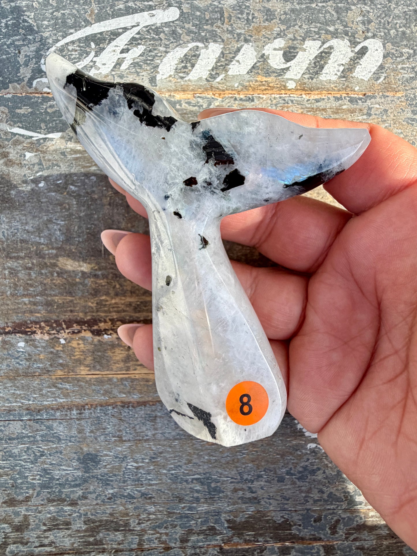 Gorgeous Rainbow Moonstone Whale Tail | India | Opt 8