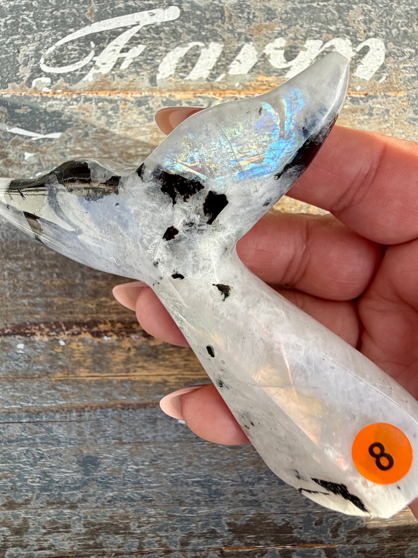 Gorgeous Rainbow Moonstone Whale Tail | India | Opt 8