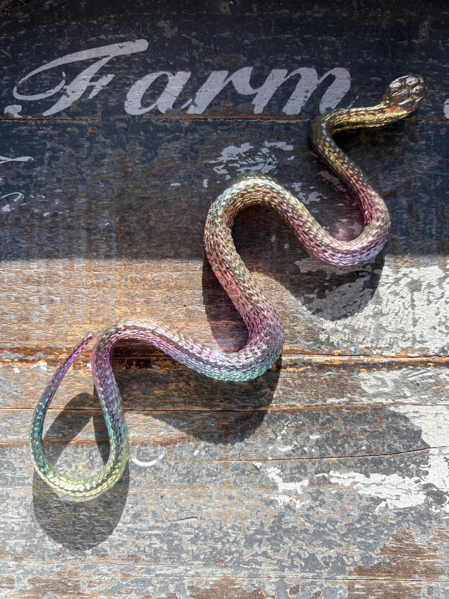 Gorgeous Rainbow Bismuth Snake