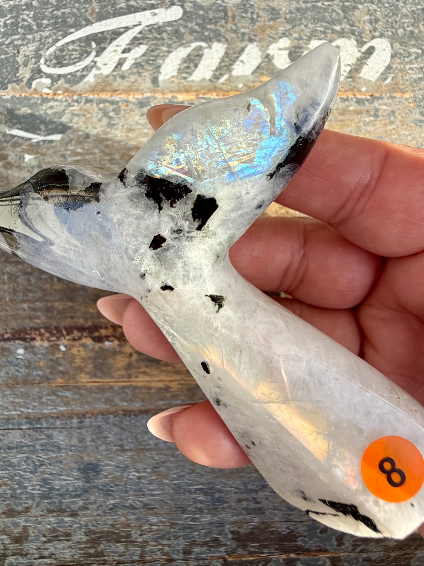 Gorgeous Rainbow Moonstone Whale Tail | India | Opt 8