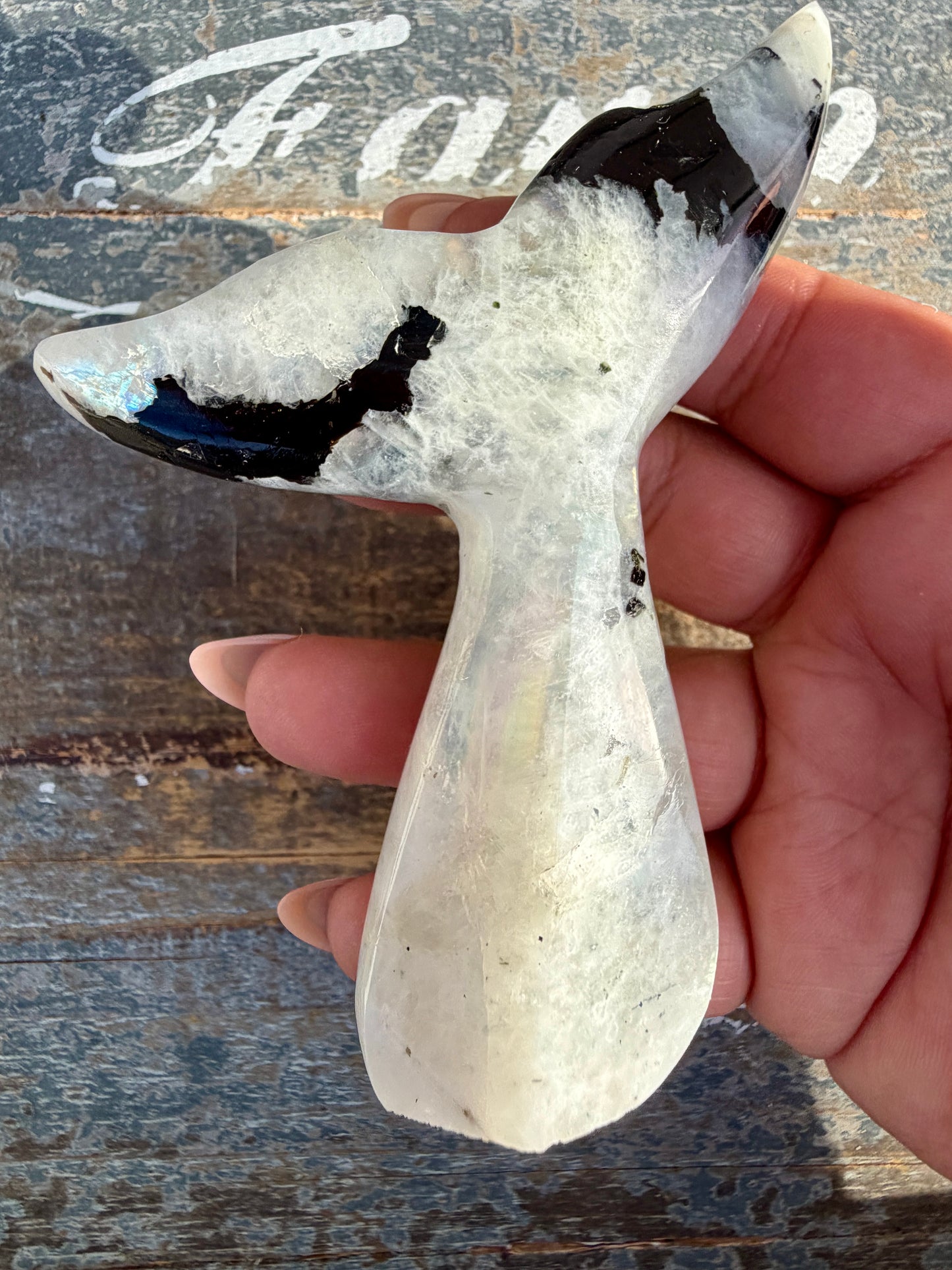 Gorgeous Rainbow Moonstone Whale Tail | India | Opt 8