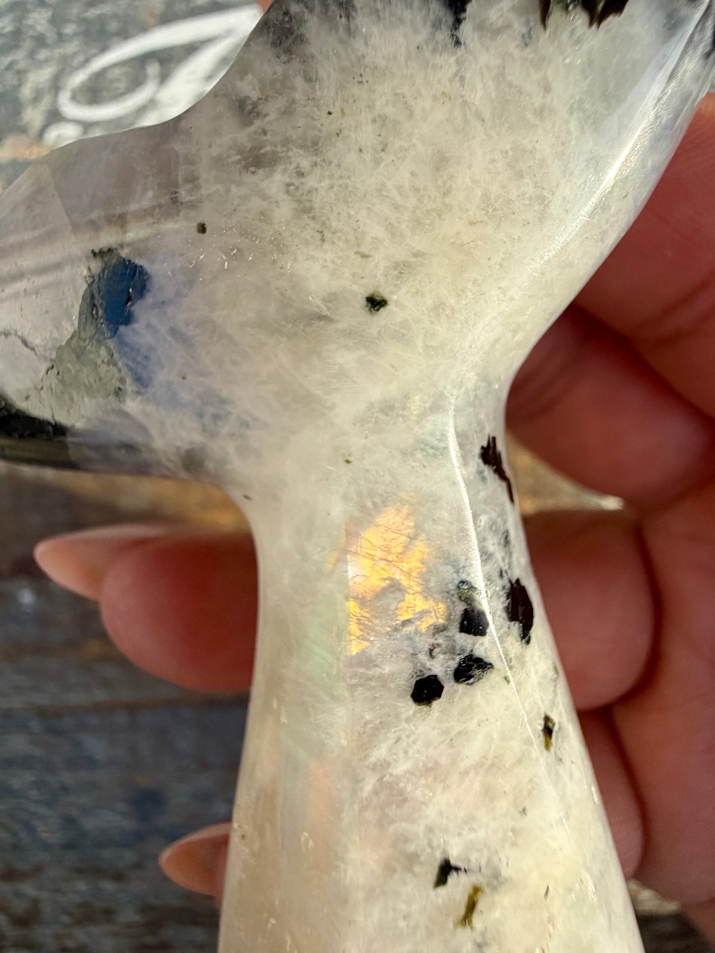 Gorgeous Rainbow Moonstone Whale Tail | India | Opt 8