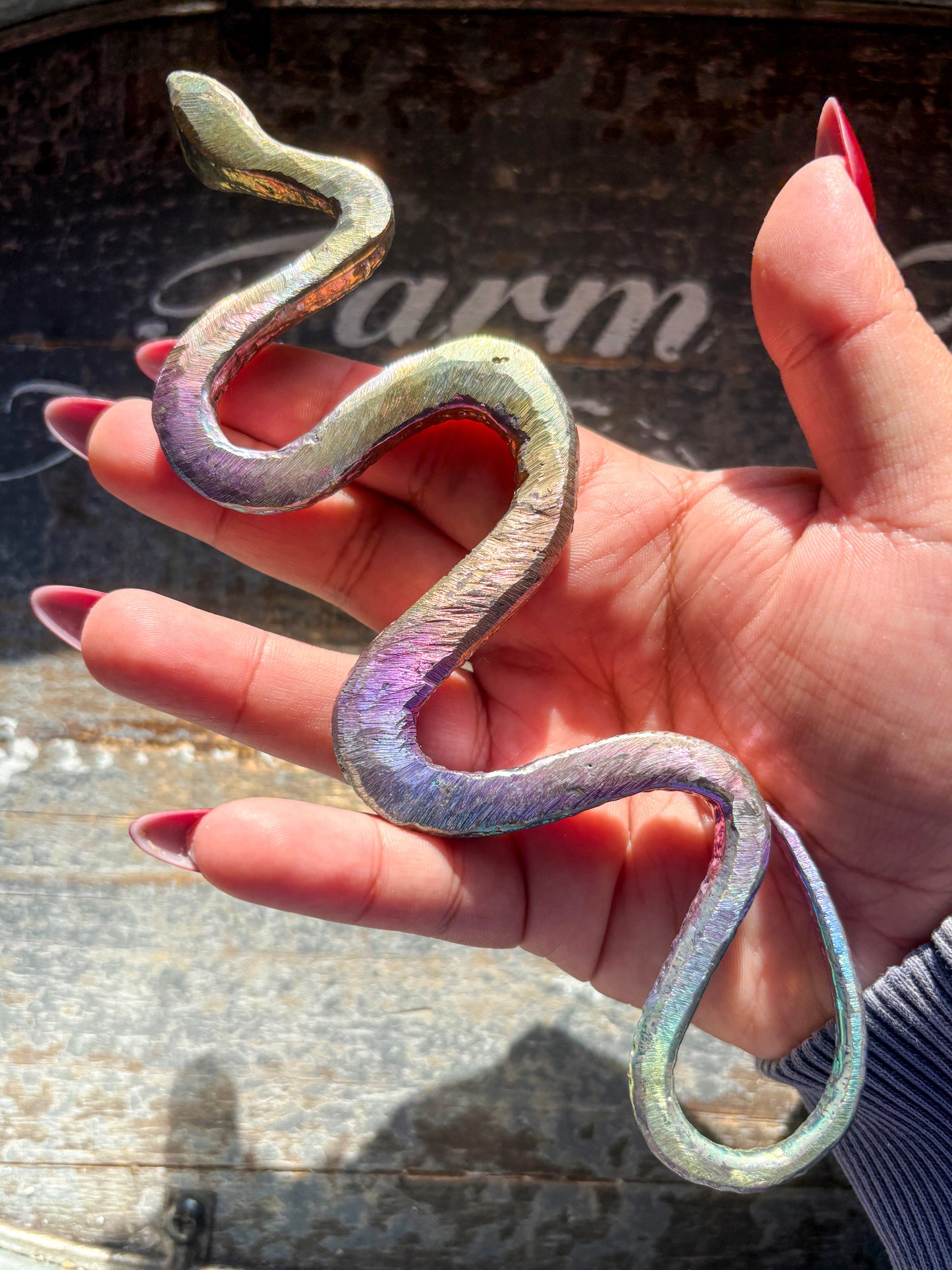 Gorgeous Rainbow Bismuth Snake