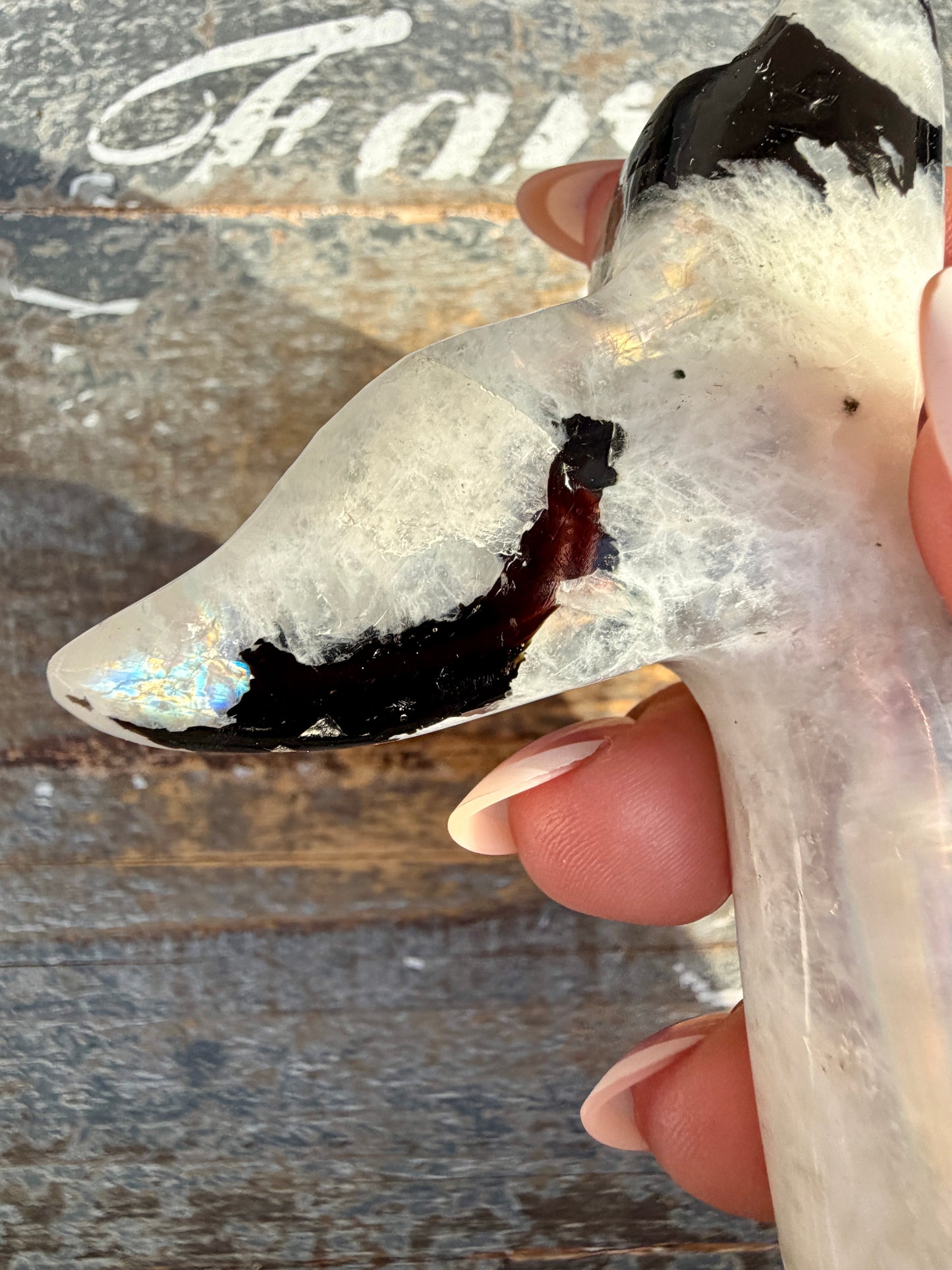 Gorgeous Rainbow Moonstone Whale Tail | India | Opt 8