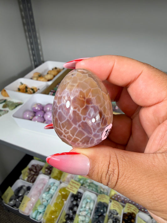 Gorgeous Snake Skin Agate Egg | Opt 16 (last one)