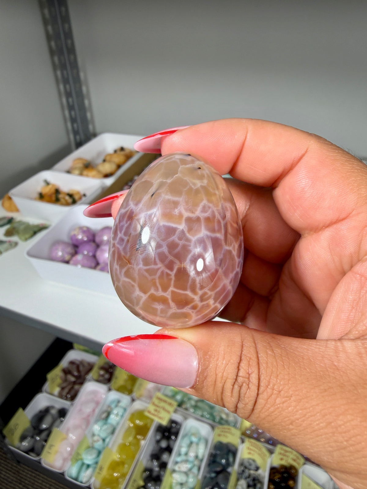 Gorgeous Snake Skin Agate Egg | Opt 16 (last one)