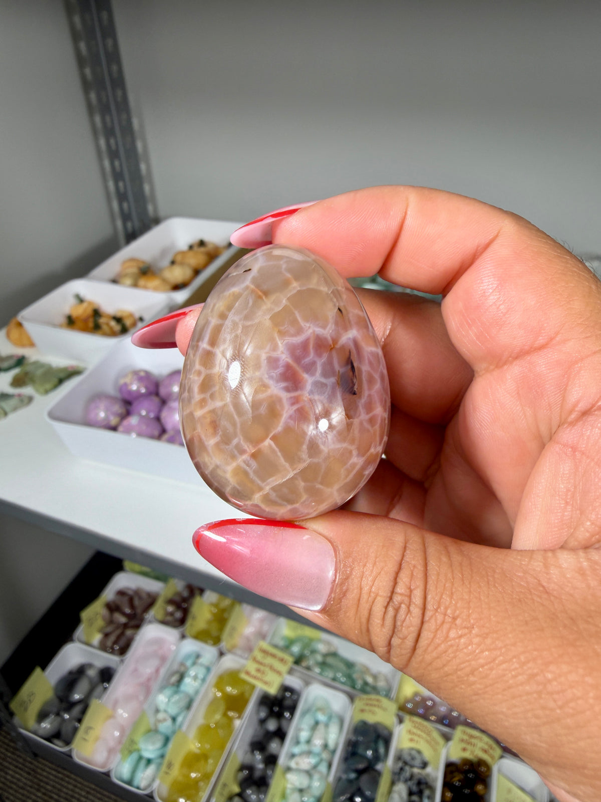 Gorgeous Snake Skin Agate Egg | Opt 16 (last one)