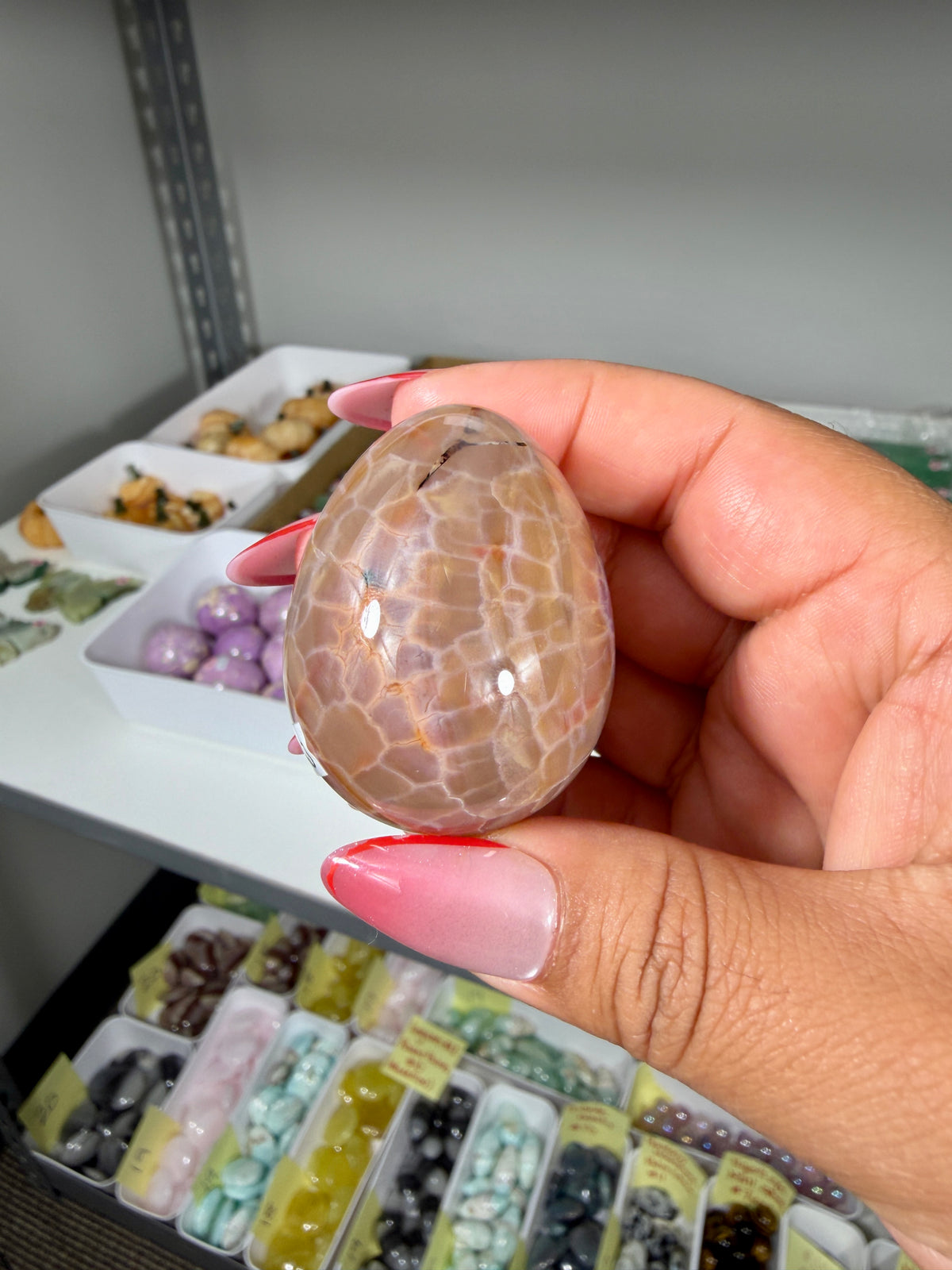 Gorgeous Snake Skin Agate Egg | Opt 16 (last one)