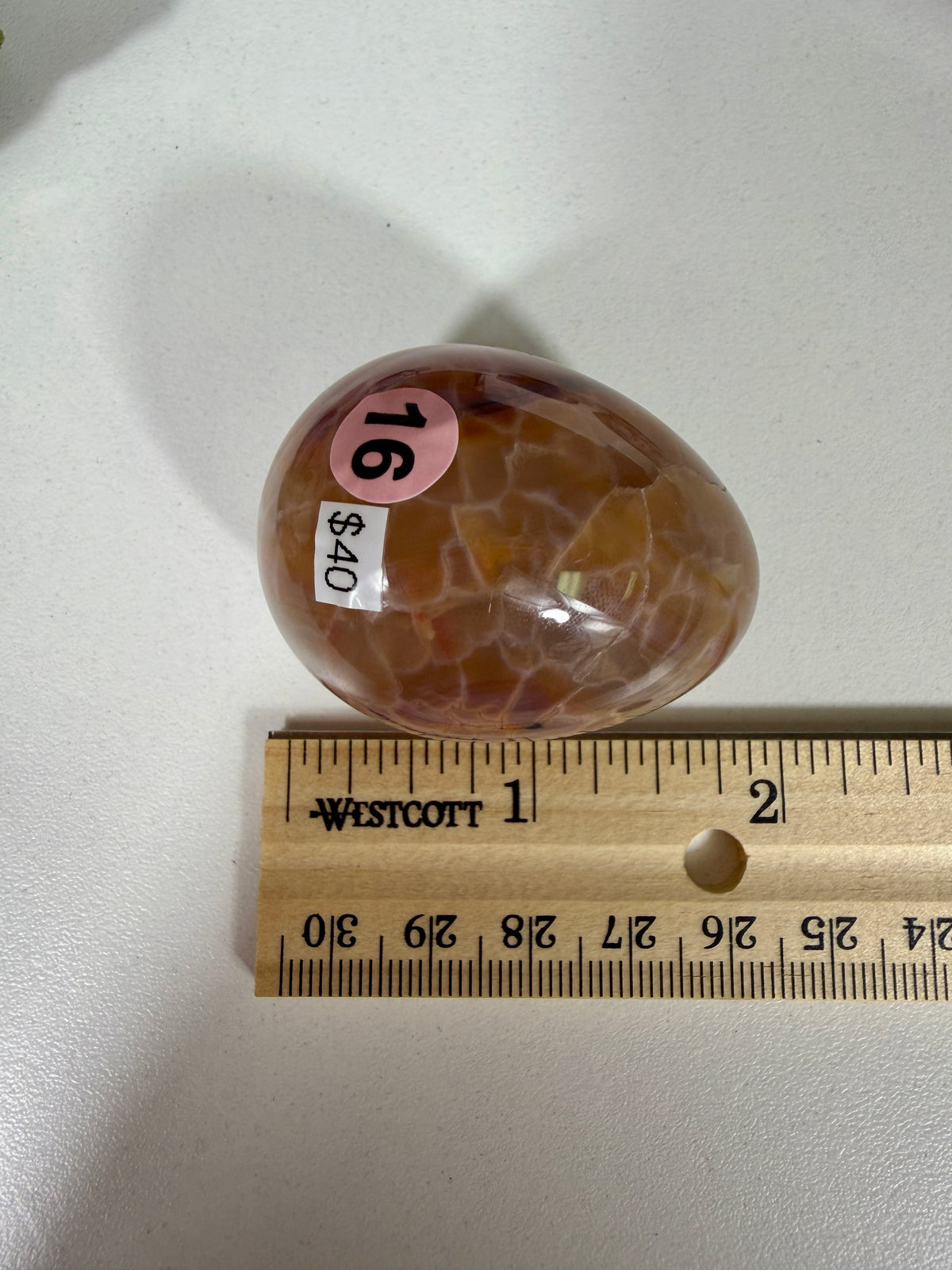 Gorgeous Snake Skin Agate Egg | Opt 16 (last one)