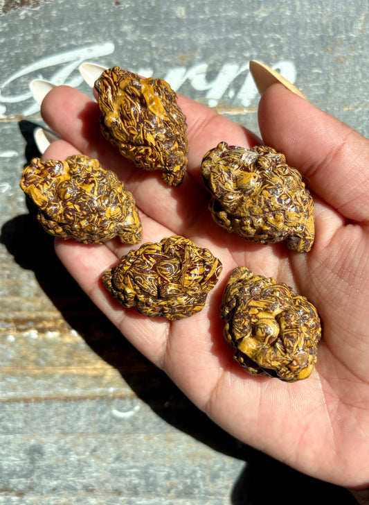 One (1) Calligraphy Jasper Pocket Money Toad | Intuitively Chosen