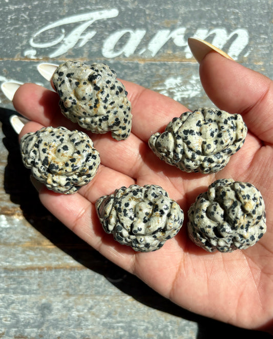 One (1) Dalmation Jasper Pocket Money Toad | Intuitively Chosen