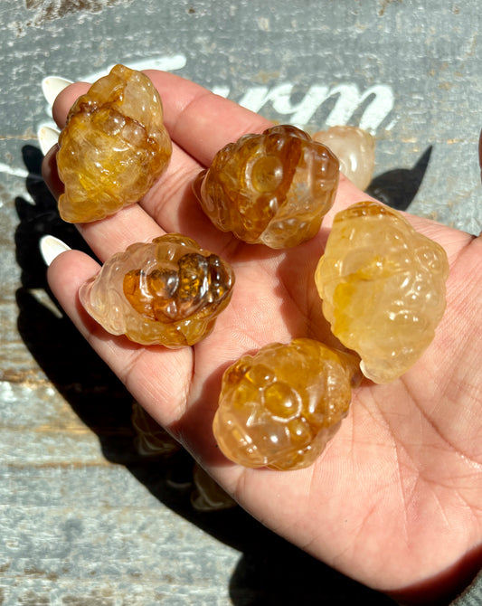 One (1) Golden Healer Pocket Money Toad | Intuitively Chosen
