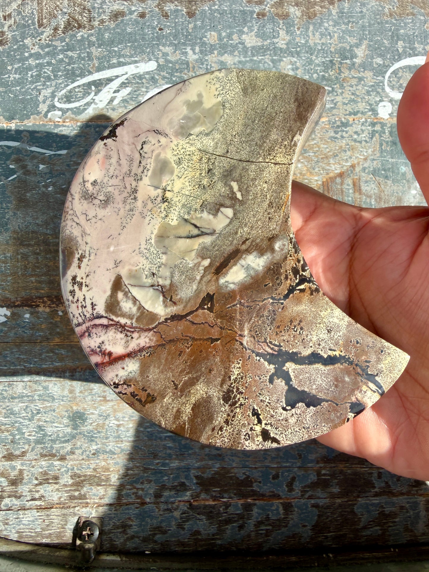 Gorgeous Picture Jasper Moon on Black Stand | Opt G