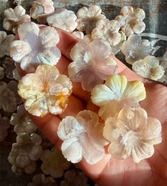 One (1) Gorgeous Flower Agate Flower Mini Carving