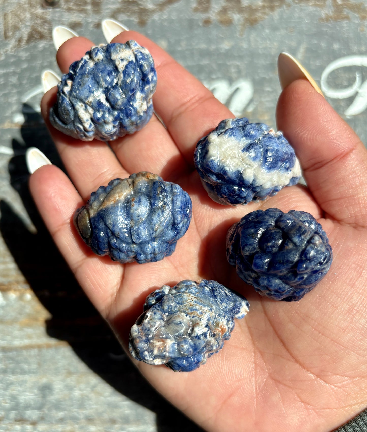 One (1) Blue Sodalite Pocket Money Toad | Intuitively Chosen