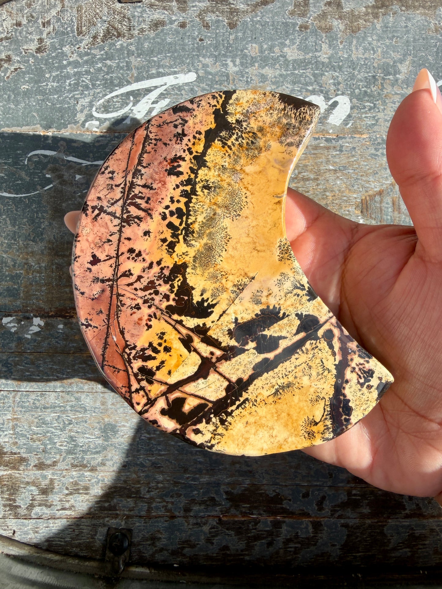 Gorgeous Picture Jasper Moon on Black Stand | Opt F