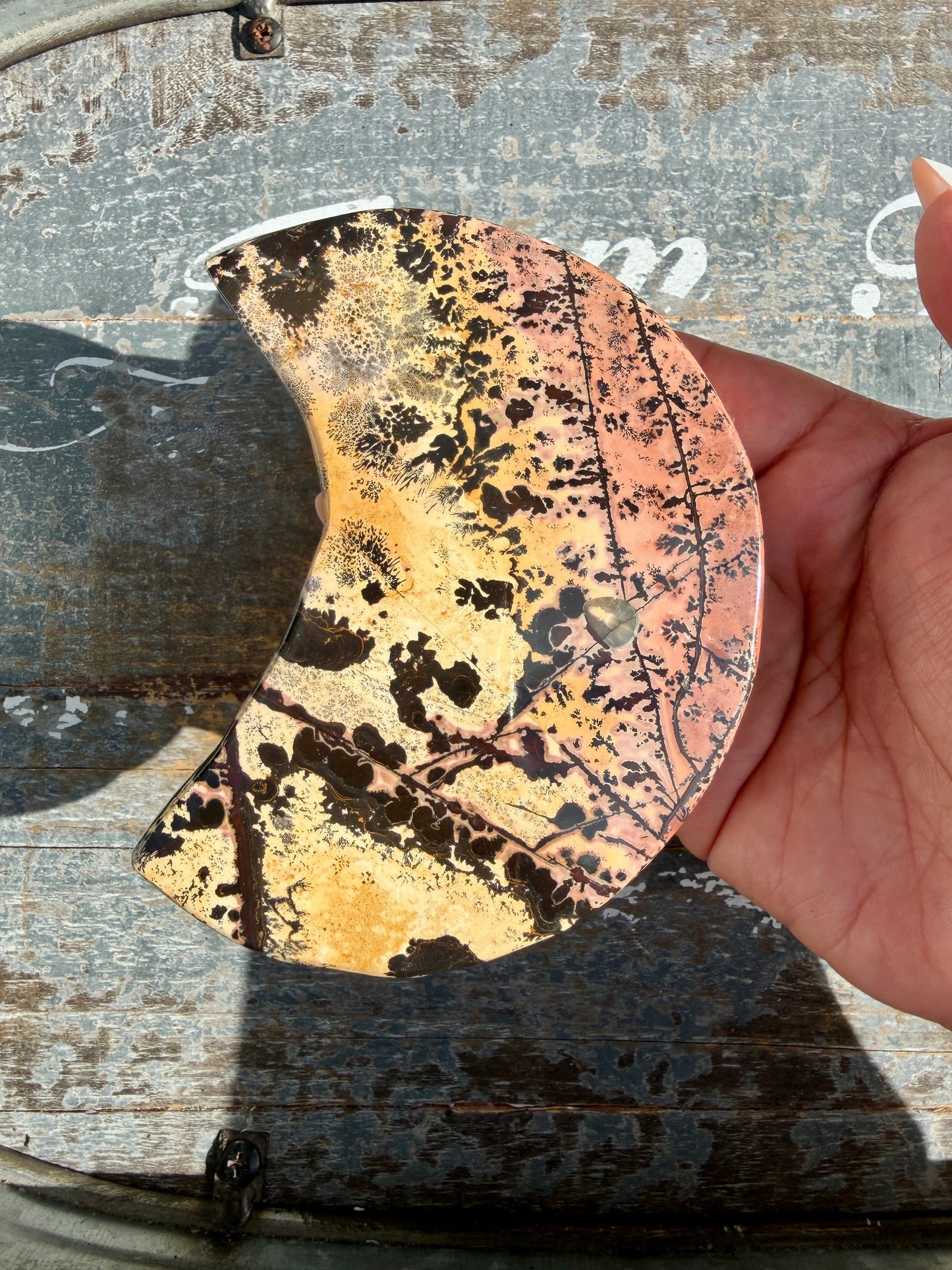 Gorgeous Picture Jasper Moon on Black Stand | Opt F