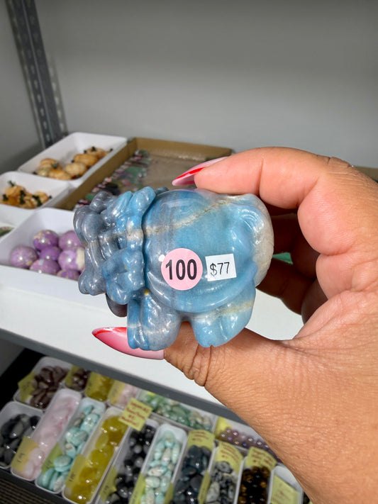 Unique Trolleite Dragon Turtle | Brazil | Opt 100