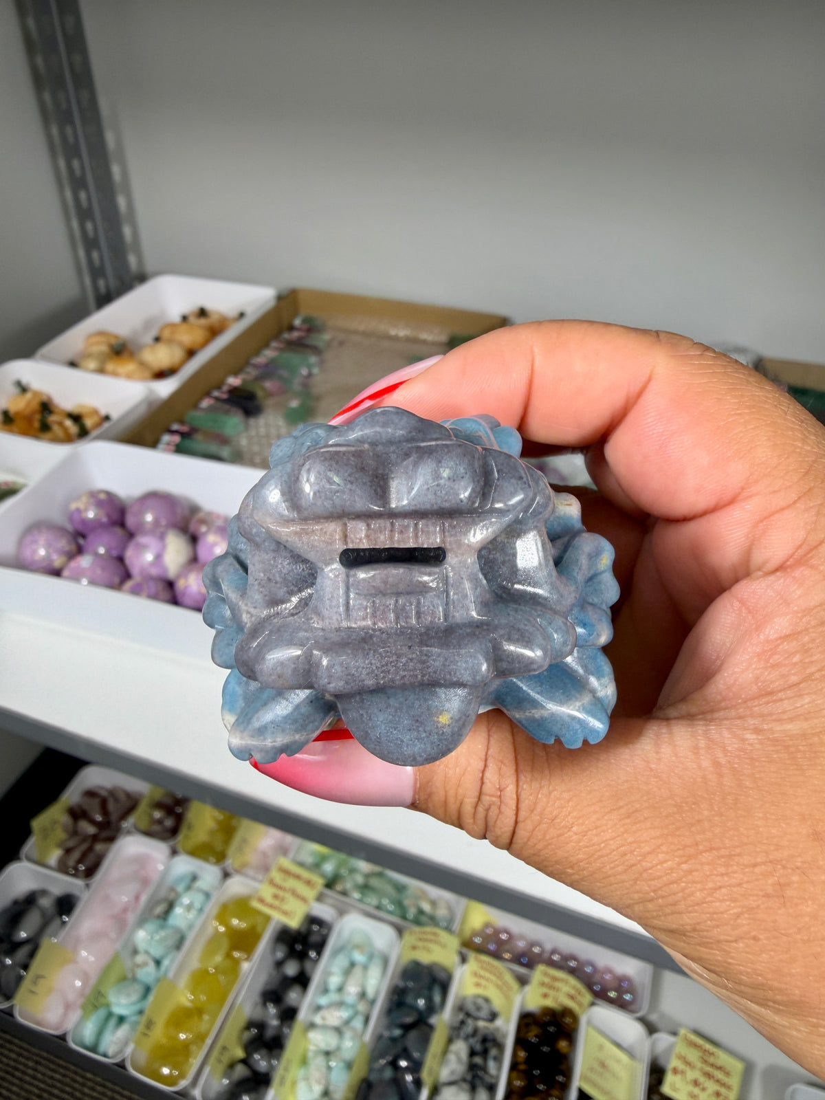 Unique Trolleite Dragon Turtle | Brazil | Opt 100