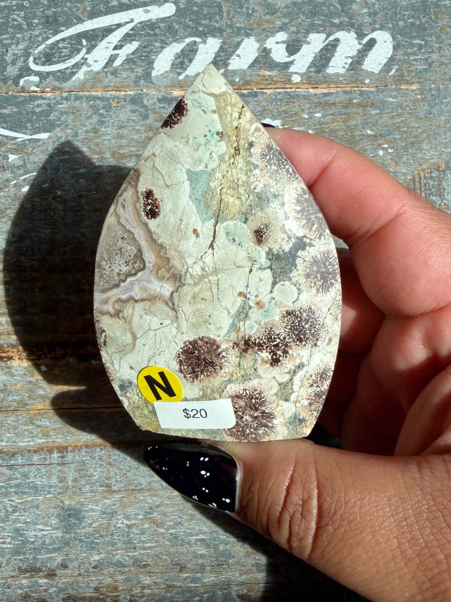 Gorgeous Green Flower Rhyolite | Opt N