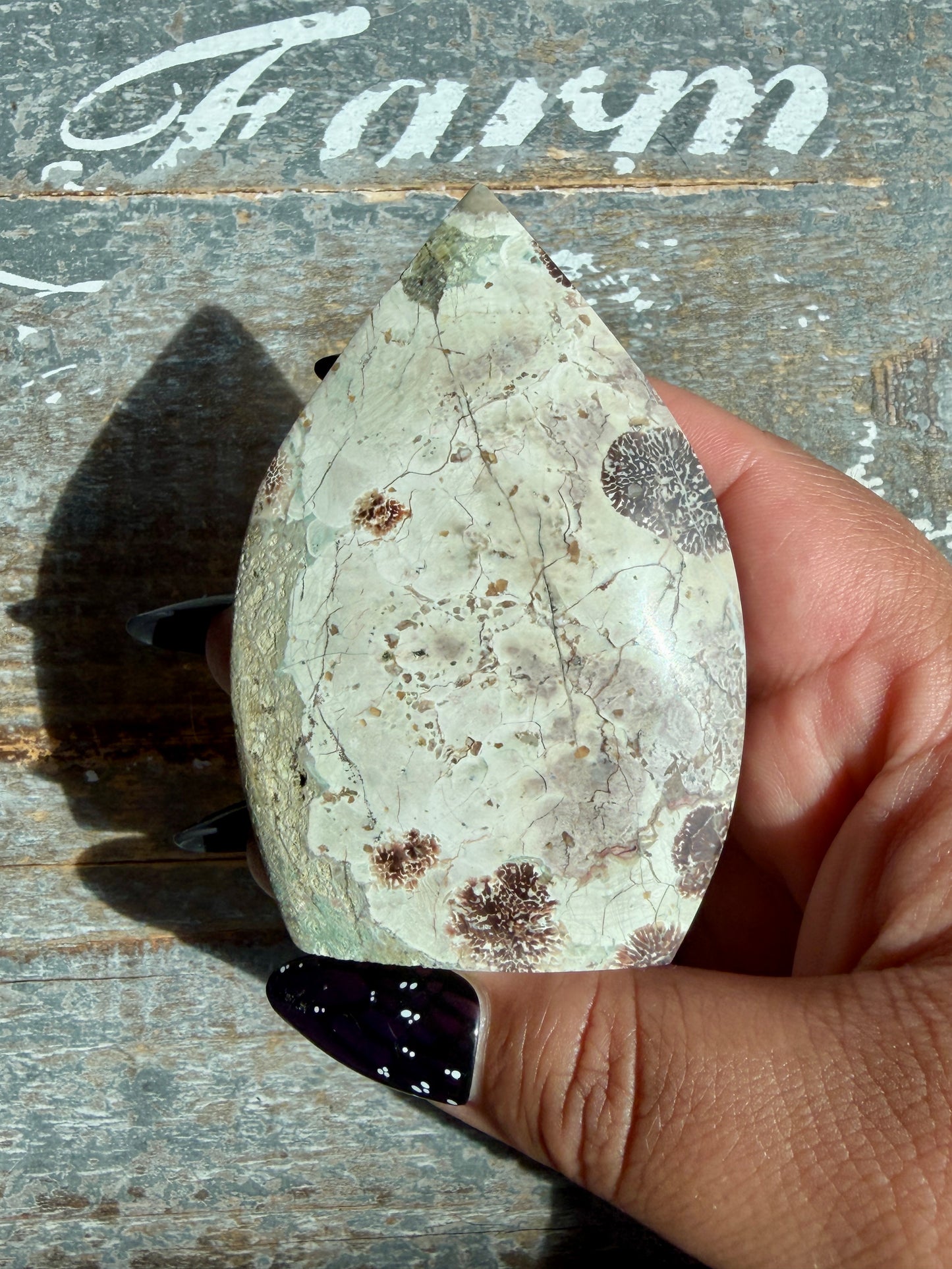 Gorgeous Green Flower Rhyolite | Opt N