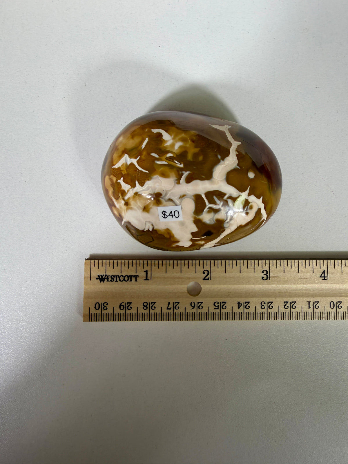 Gorgeous Carnelian/Orca Agate Palm Stone