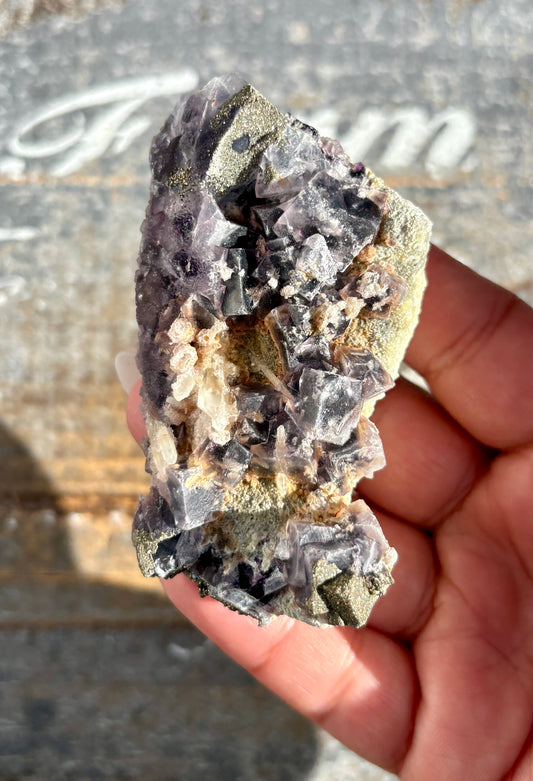 Gorgeous Yindu Fluorite with Pyrite Specimen from Mongolia | Opt L